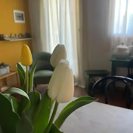 Tatil Evi La Barchessa Di Sesso Schiavo